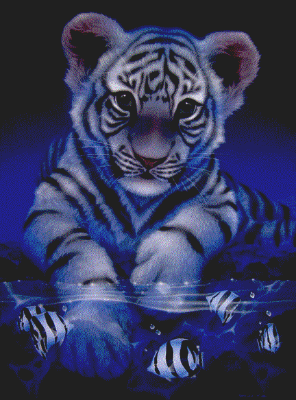 tigris01.gif