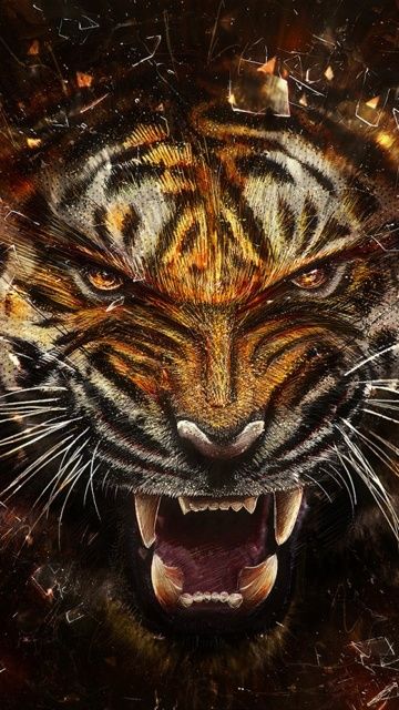 tiger-tigris.jpg